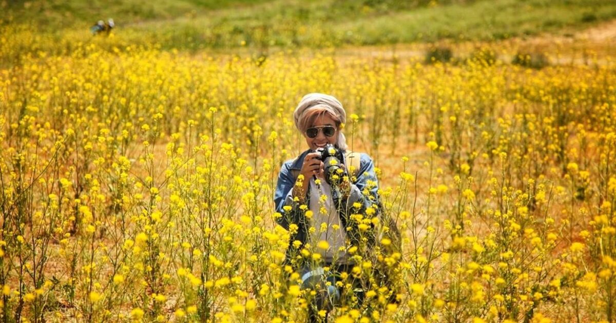 A woman taking a picture in a field of yellow flowers.