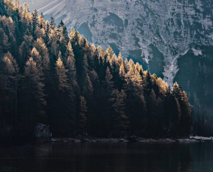 Staying Centred in the Storm: Cultivating and Maintaining Wellbeing in Complex Environments
