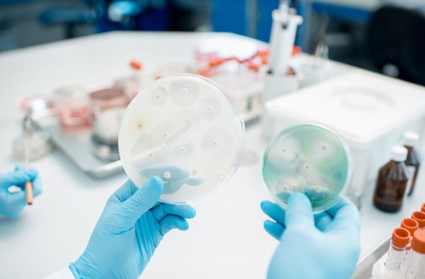 Two people in blue gloves are holding plates in a laboratory.