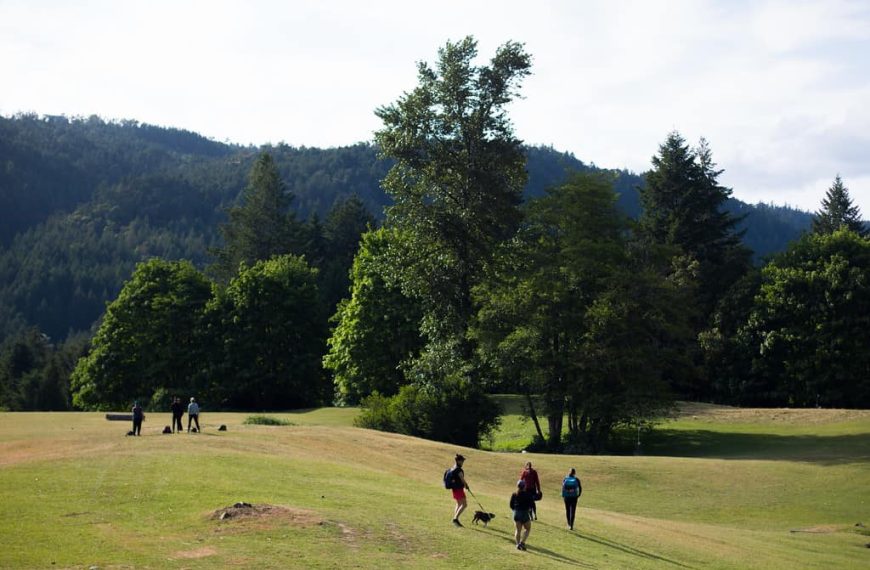 A group of people running on a grassy field.