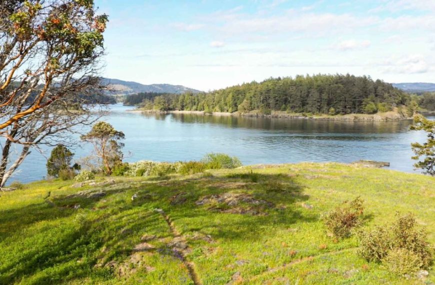 A view of a body of water with trees and grass.