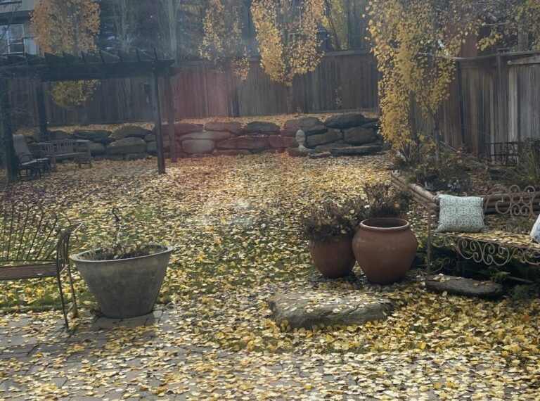 A backyard filled with yellow leaves and a wooden bench.