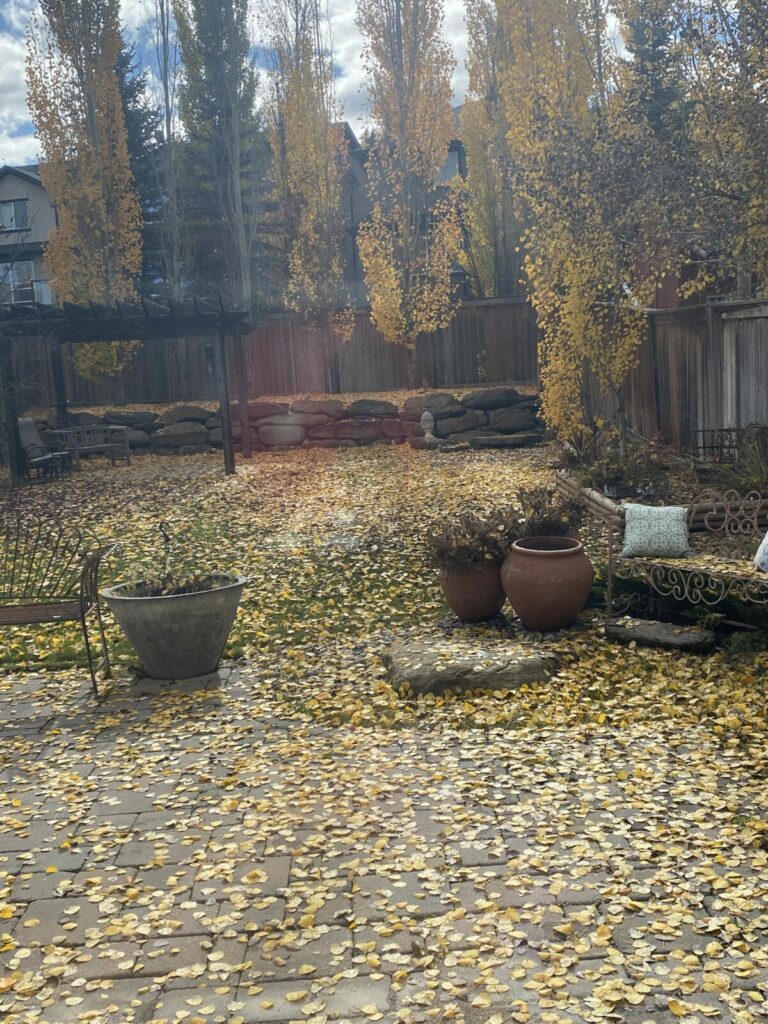 I’m trying not to make excuses I’m trying not to make excuses