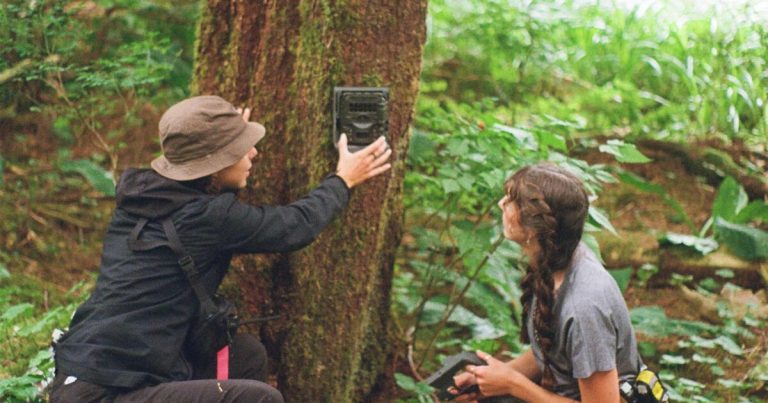 Notes from the Field: Establishing a wildlife camera network in Heiltsuk Territory