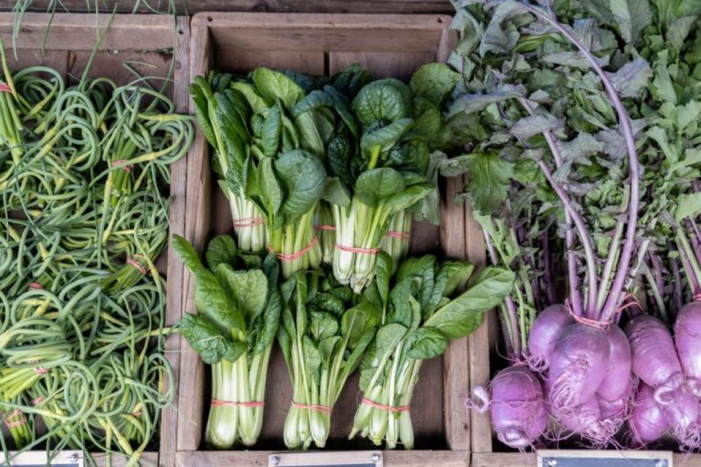 November – January: Supporting our Victoria-area Farmers, 2nd Edition! November – January: Supporting our Victoria-area Farmers, 2nd Edition!