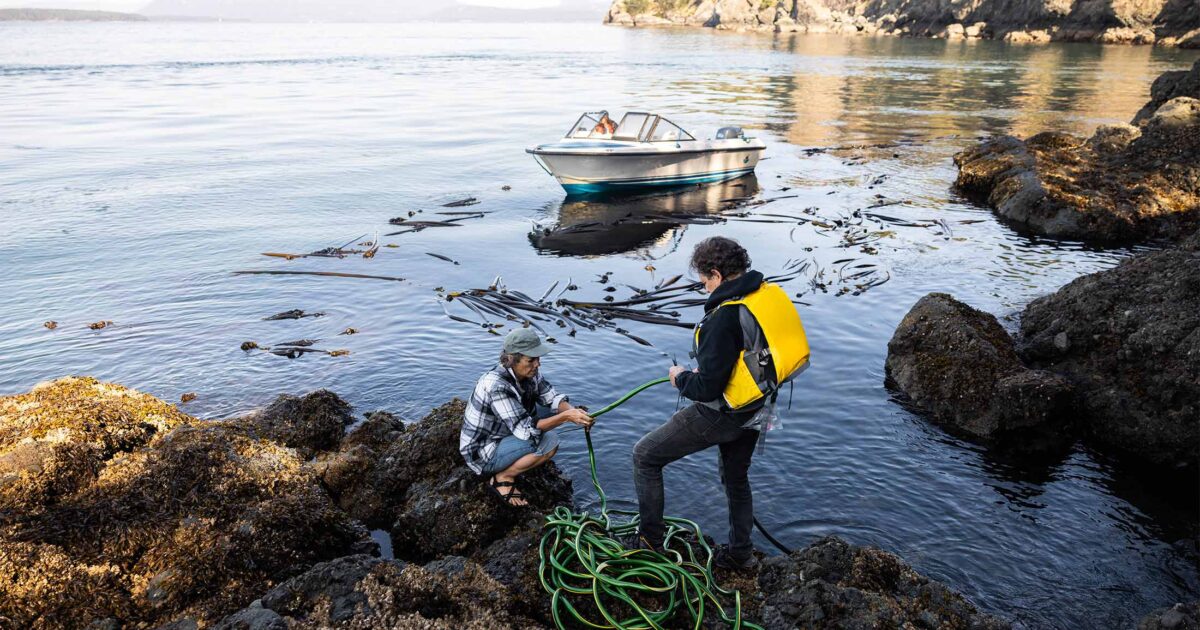 Our new whale livestream at a Southern Resident killer whale sanctuary zone