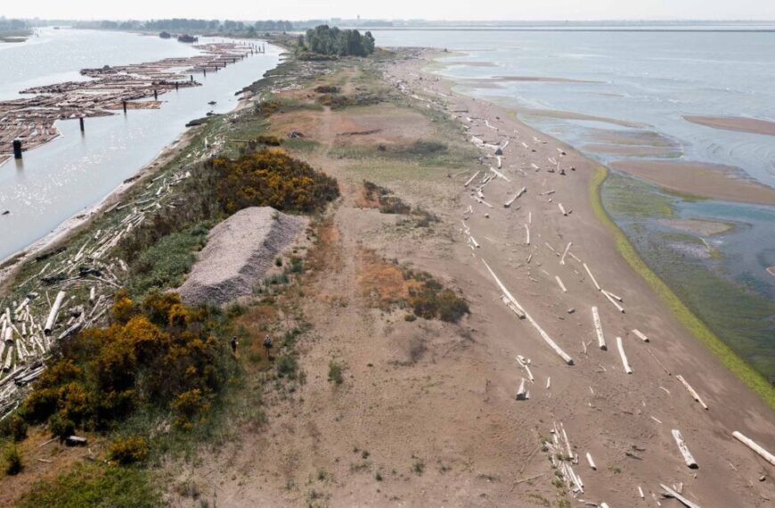 This week, construction starts on an aerial view of a beach with a lot of logs on it.