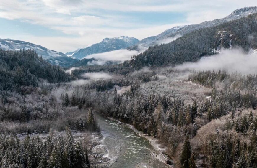 An aerial view of a snowy river in the mountains, following wild wolves.