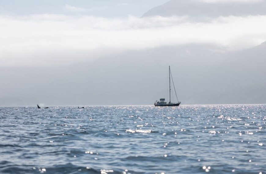 Two sailboats navigating through the glistening water near majestic mountains.