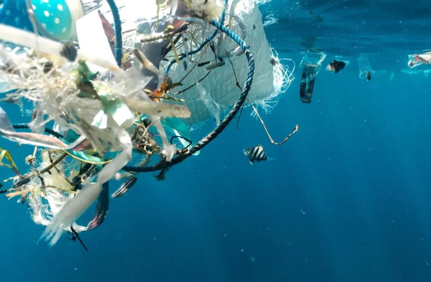 Canada has recently implemented a plastic ban to combat the concerning issue of a large amount of trash floating in the ocean.
