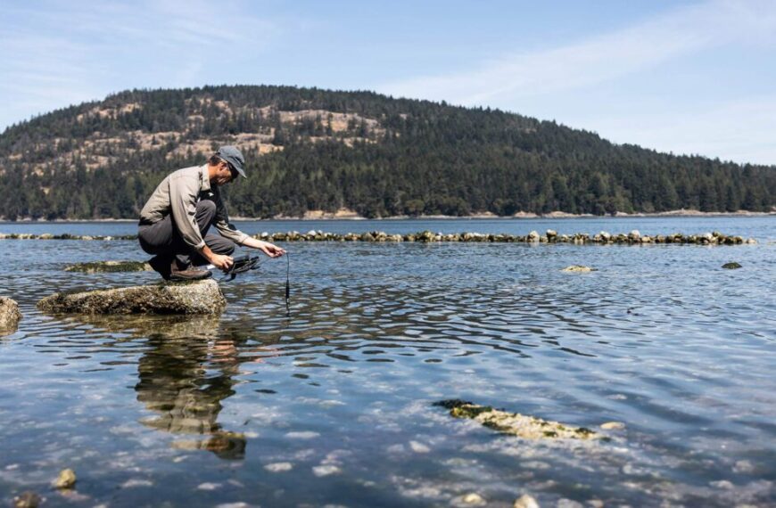 A man building capacity to protect water while fishing in the water near a body of water.