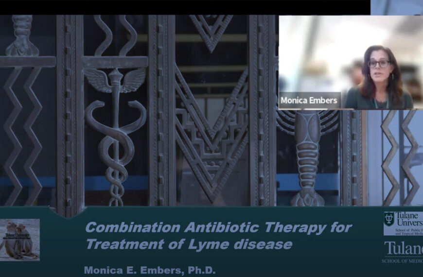 Combination antibiotic therapy for treatment of Lyme disease.