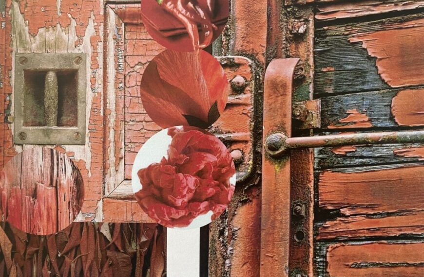 A vibrant photo of a door adorned with beautiful red flowers.