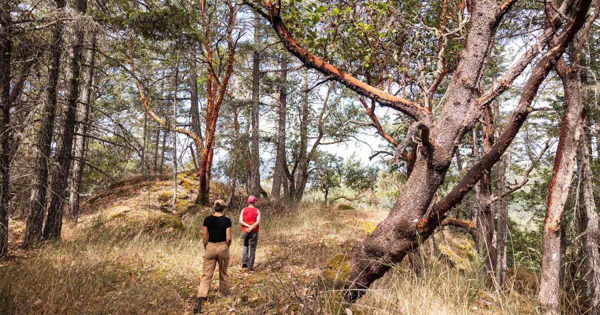 Job posting: Species Monitoring and Outreach Technician