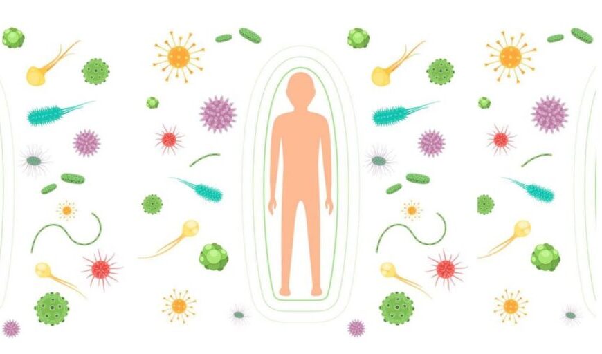The human body is surrounded by various bacteria and viruses, which can be supported by Traditional Chinese Medicine for boosting immunity.