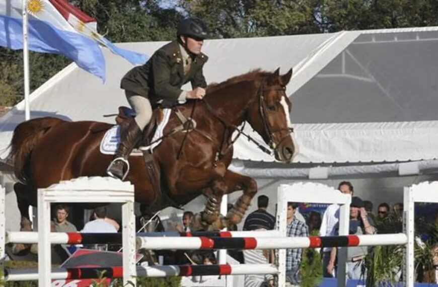 Equestrian jumping a hurdle at an outdoor competition, creating wonderful memories with spectators and flags in the background.