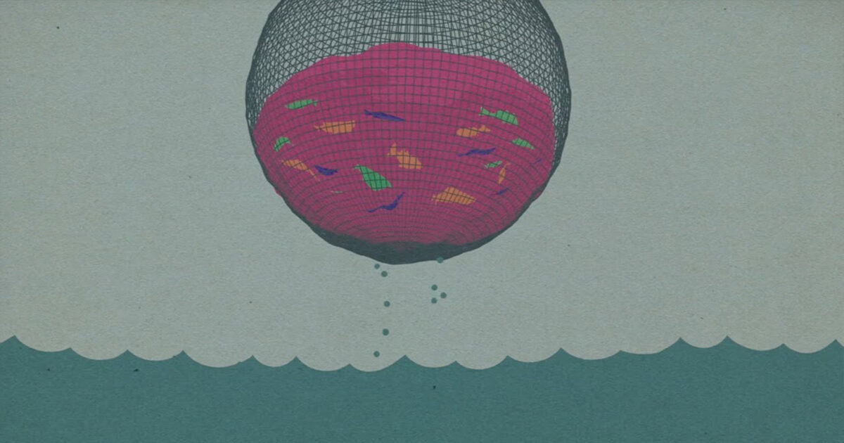 A better, older way to fish for salmon