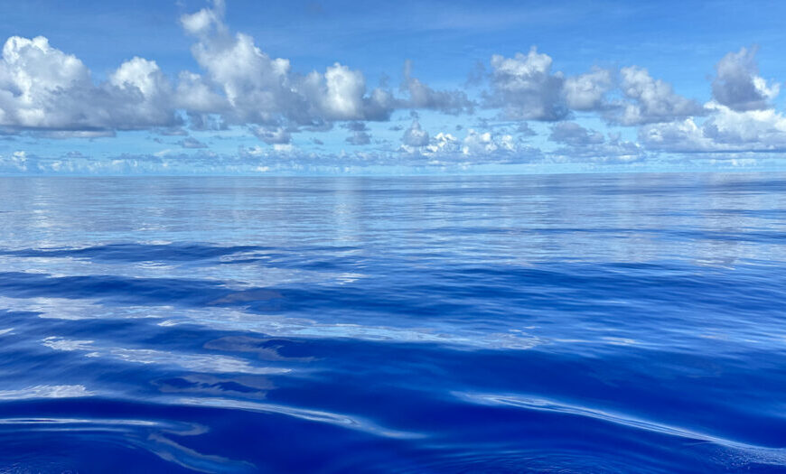 A Year in the Blue