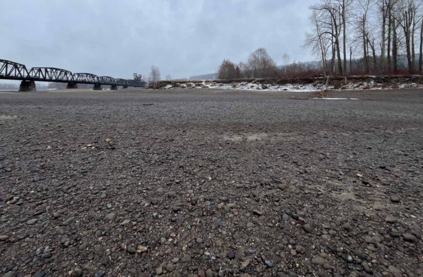 Drought resilience for Nicola River salmon