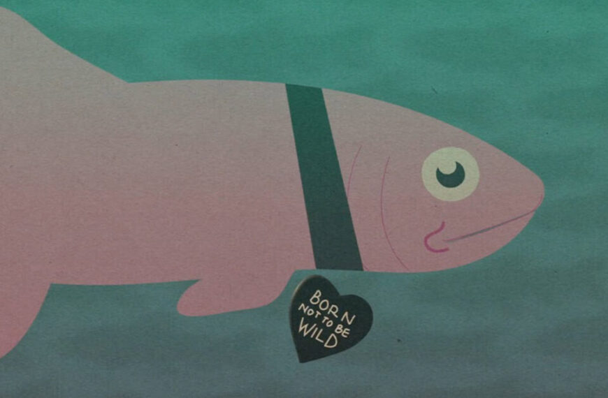 Hatcheries: good intentions, bad outcomes