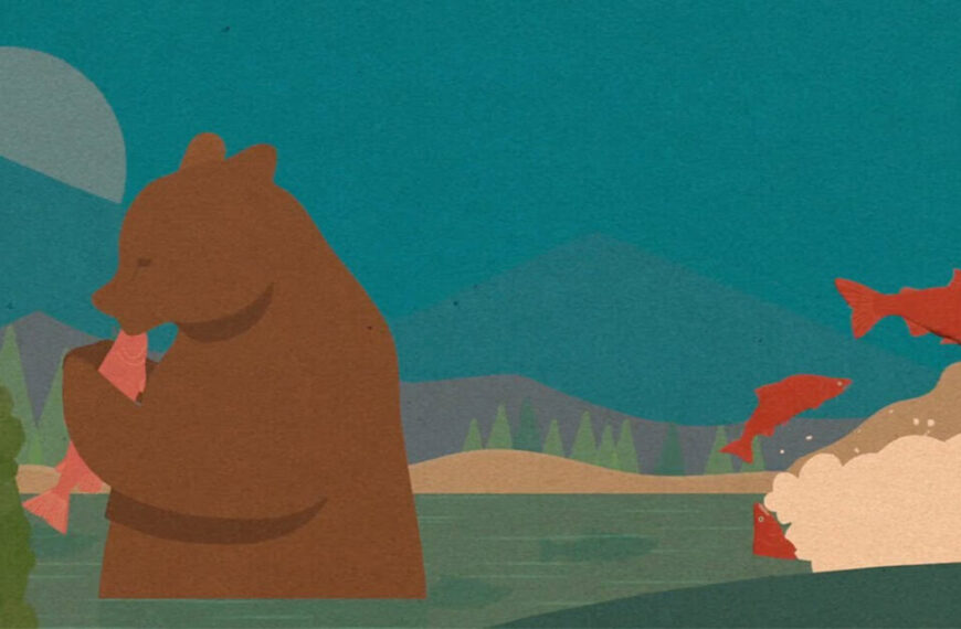 Seeing wild salmon thrive: Our wild dream