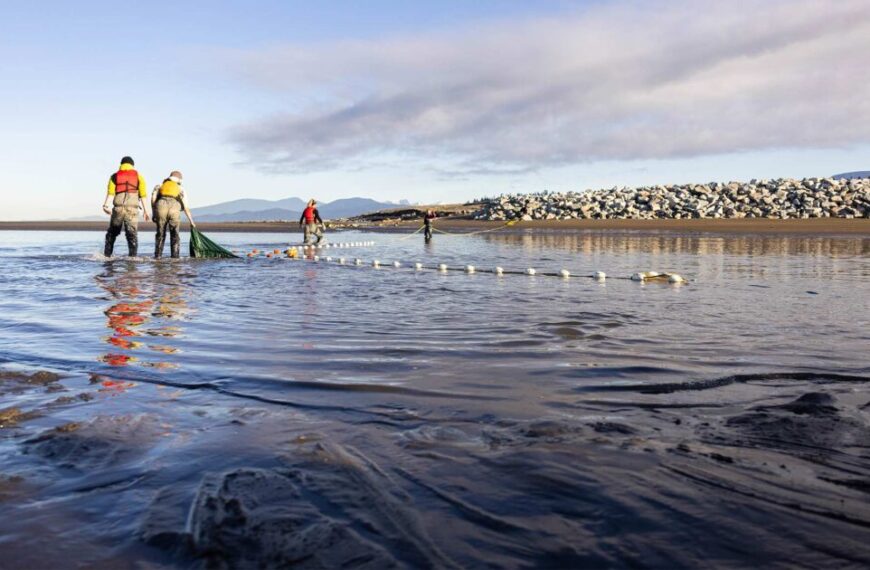 Nature-based Solutions: How restoring habitat protects people and wildlife