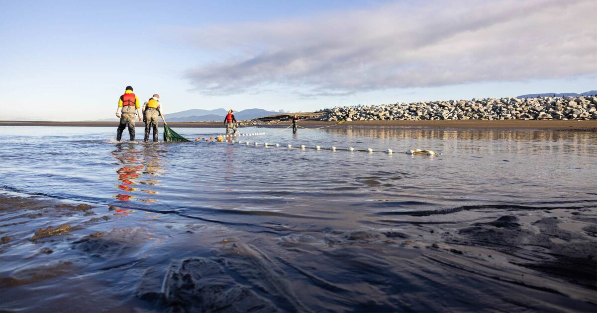 Nature-based Solutions: How restoring habitat protects people and wildlife