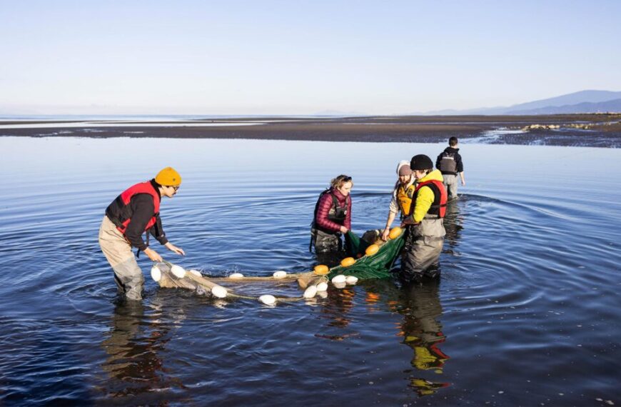 Raincoast welcomes thirteen new team members who have joined our team for the summer