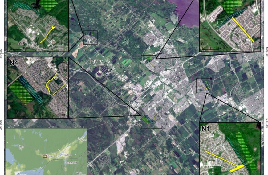 Researchers study ticks in Ottawa where residential zones border woodland areas