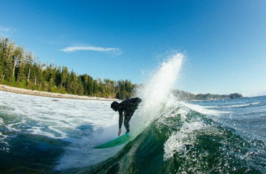 This World Ocean Day, we celebrate a major conservation success story with After the Groundswell