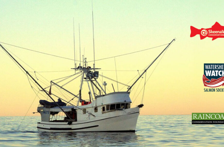 B.C. conservation organizations welcome Ocean Wise decision to pull its recommendation of sustainability for southeast Alaska salmon fisheries