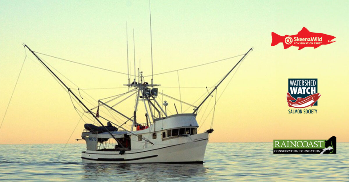 B.C. conservation organizations welcome Ocean Wise decision to pull its recommendation of sustainability for southeast Alaska salmon fisheries
