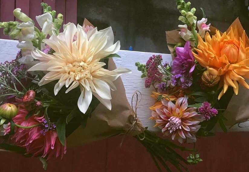 Bara Acu, Heart & Hands and Green Muse Herbs pop-up Sunday July 28th!