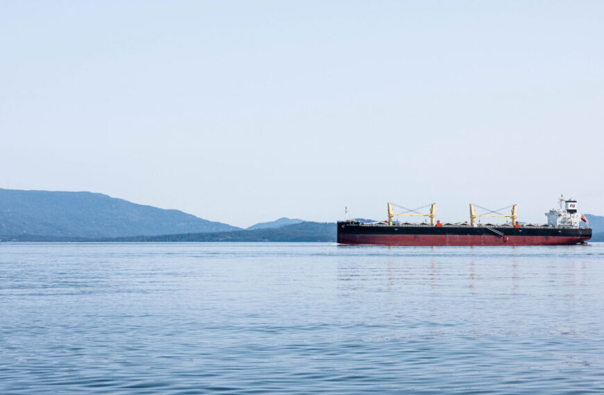 Federal promises made for endangered whales during TMX approval are unfulfilled