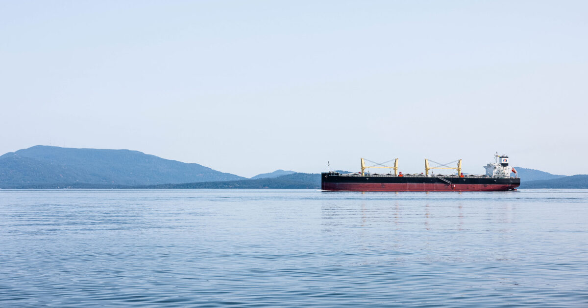 Federal promises made for endangered whales during TMX approval are unfulfilled