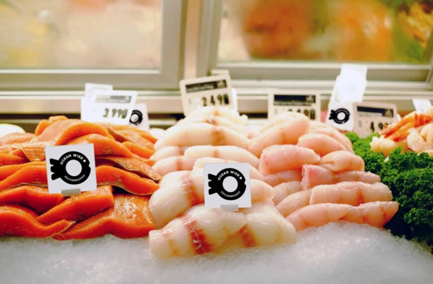 Summary of key facts about southeast Alaska interception fisheries