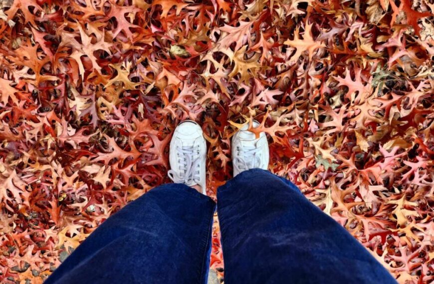 Harmonizing with the Fall season, by Jade (JO) Oswald, R.TCMP.