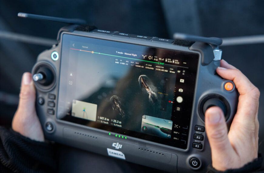 The ethics of flying drones over whales 