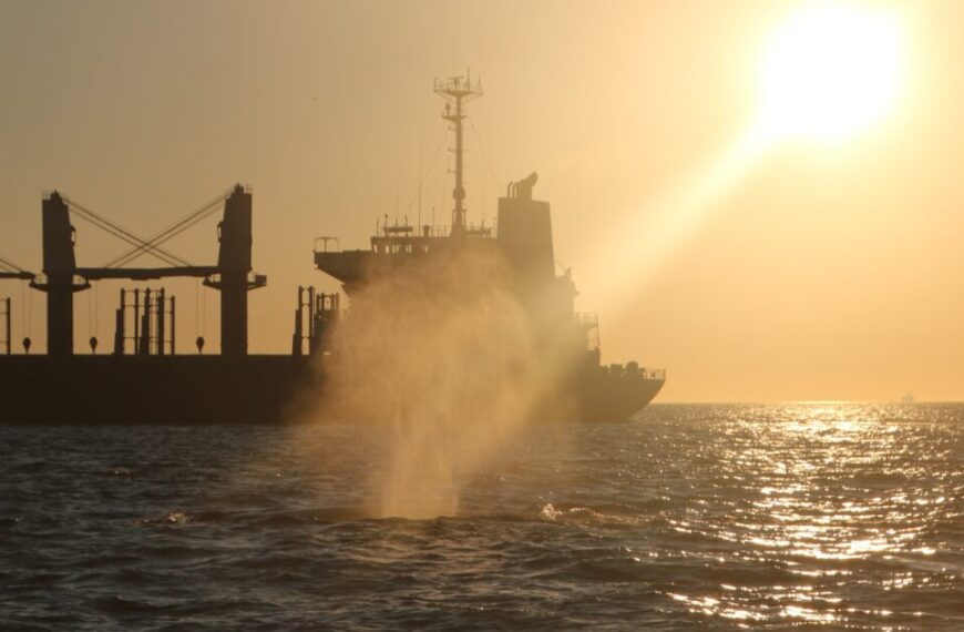 A ship sails on the ocean during sunset as water splashes up near the vessel, with the sun casting a golden glow over the scene. In the distance, killer whales breach gracefully, adding a majestic touch to the serene evening.