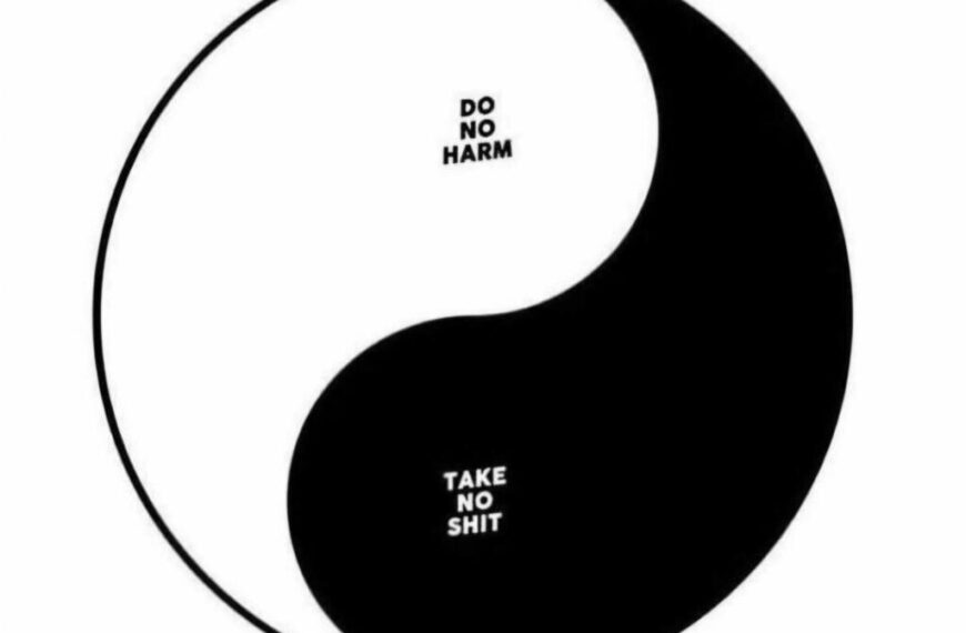 A Yin within Yang symbol with the text "DO NO HARM" in the white portion and "TAKE NO SHIT" in the black portion.