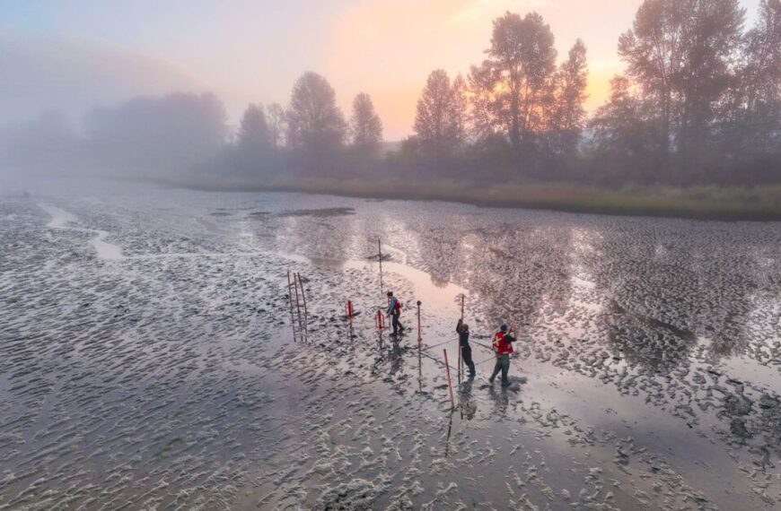 Amid a muddy, misty landscape with silhouettes of trees against the sunrise, small-scale teams conduct surveys as part of a marsh restoration project.