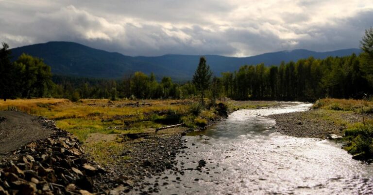 Studying the impacts of drought on salmon habitat in the Nicola watershed Studying the impacts of drought on salmon habitat in the Nicola watershed