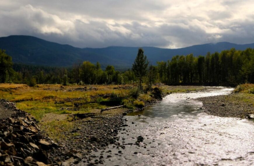 A winding river flows through a rocky landscape in the Nicola watershed, flanked by trees and mountains under a cloudy sky. The area, crucial as a salmon habitat, now shows signs of drought impacting its vibrant ecosystem.