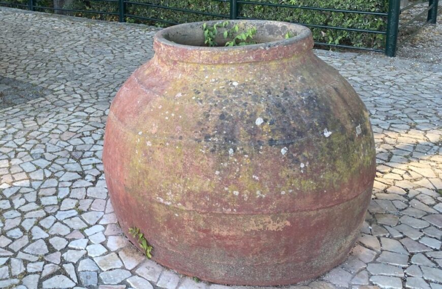 A large, weathered terracotta pot, a testament to the importance of creativity, sits on a paved stone surface with moss and plants flourishing from it.