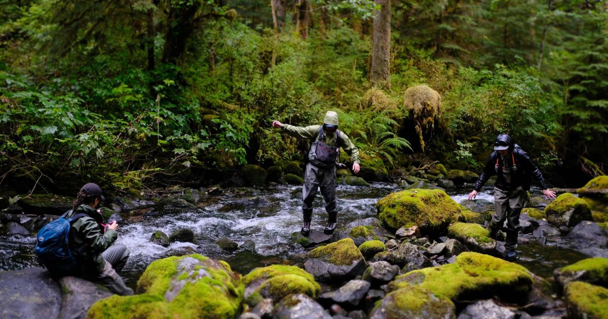Creekwalking in Heiltsuk Territory