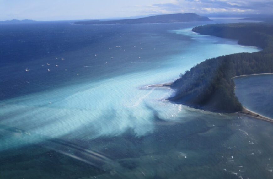 Aerial view of a coastal region with turquoise and deep blue waters, revealing a curving peninsula lined with trees. Nearby herring dart through the sea as a distant mountainous landscape looms under a partly cloudy sky.