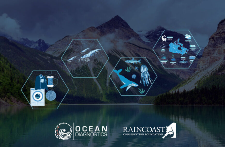 Hexagonal icons depicting sea life, ocean diagnostics tools, and a map over a mountain lake backdrop highlight innovative solutions for microfibre pollution. Logos for Ocean Diagnostics and Raincoast Conservation Foundation are at the bottom.