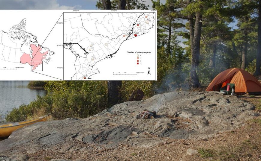 A campsite by a serene lake in Southern Ontario features a tent, canoe, and campfire on a rocky area. Overlaying the scene is a map detailing the region, indicating the number of pathogen species and highlighting areas of concern for ticks.