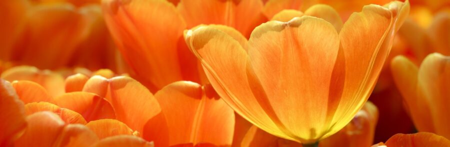 Truth and Reconciliation Day reflection