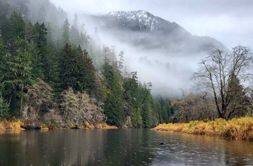 The foggy landscape showcases a calm river flanked by trees and misty mountains, evoking the serenity of final field days amidst nature's beauty.